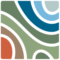 Cassinia